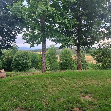 Appartamento Margherita Crespina Kültér fotó